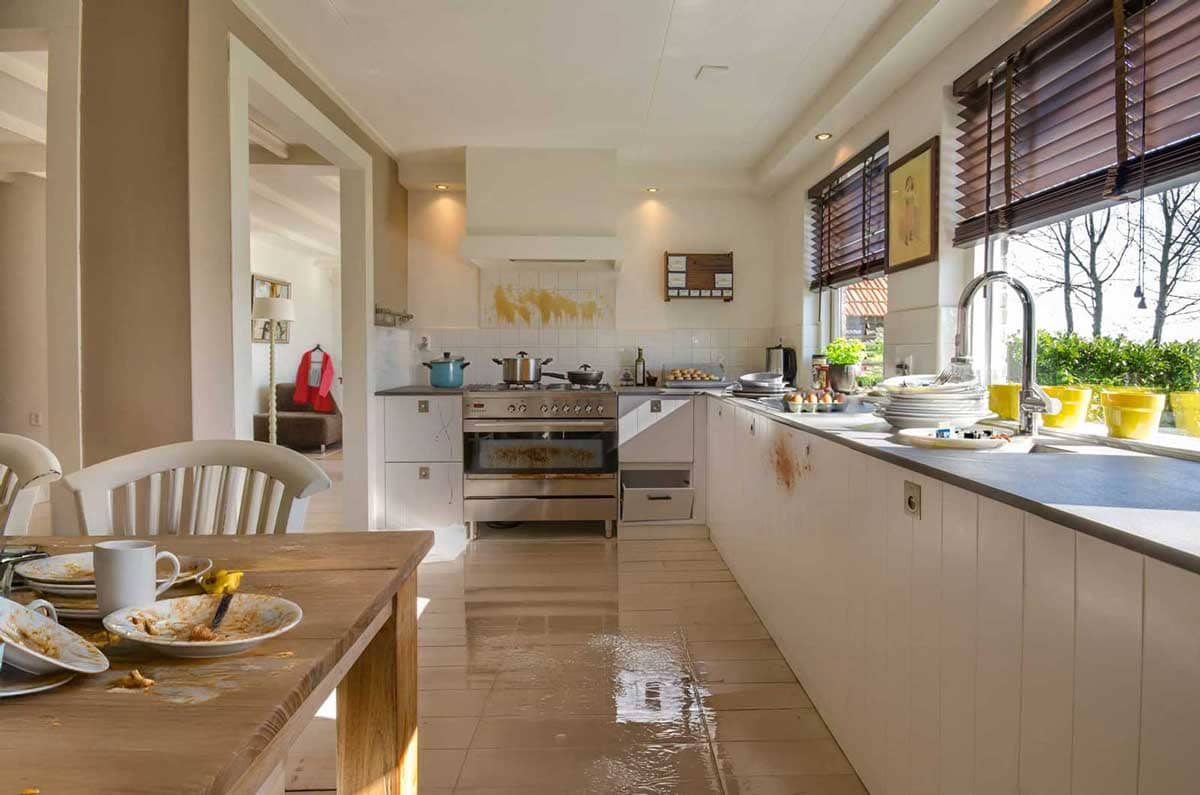 Sarita limpieza total en Quito Sarita limpieza total en Quito